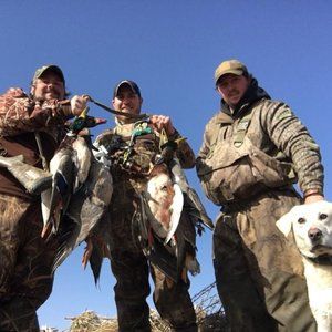 Meet your Posher, Clay